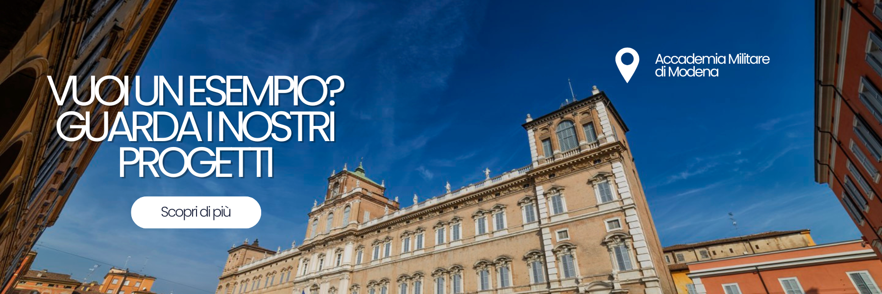 allontanamento volatili Modena