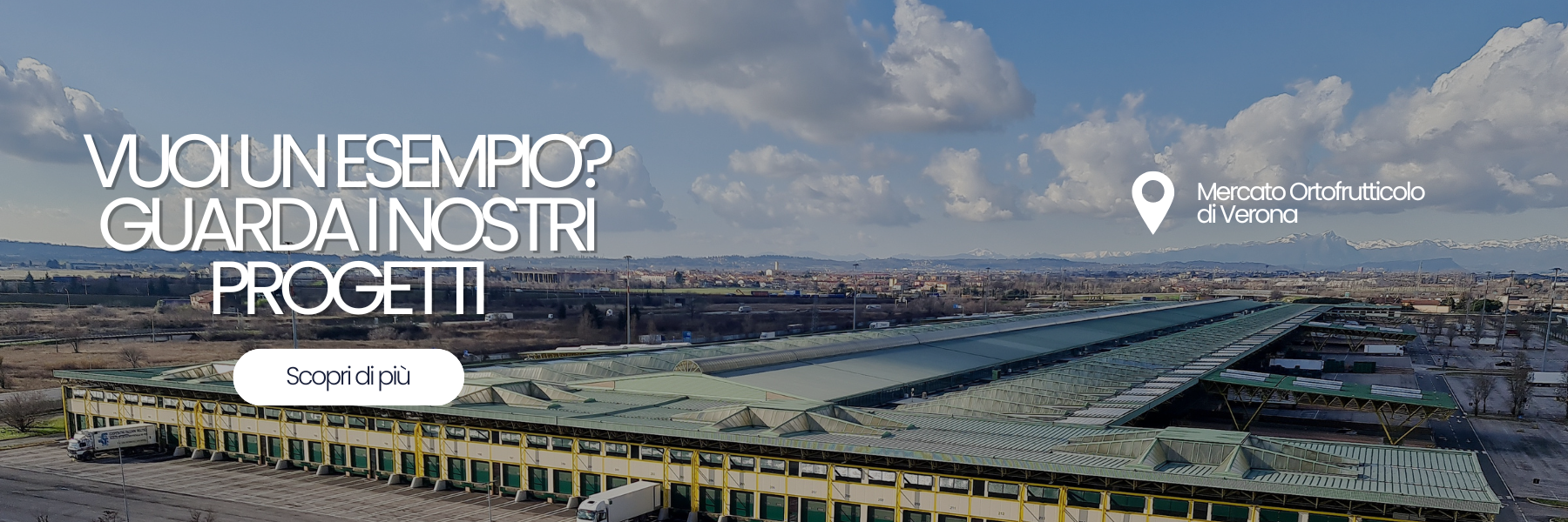 disinfestazione piccioni Verona
