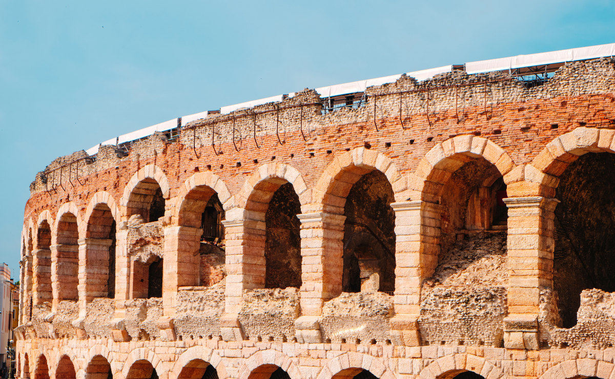 allontanamento piccioni Verona